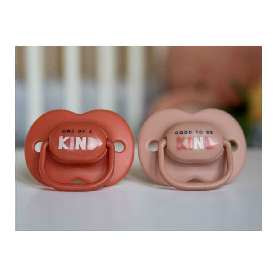 Tommee Tippee Smoczek uspokajający 18-36m+ Any Time 2 sztuki