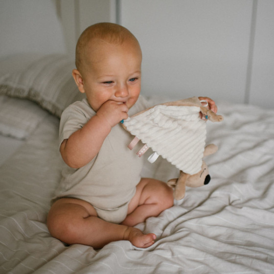 Babyono Grzechotka pluszowa Koala COCO